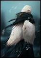 Varrad1.jpg