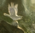 Midnight tides det02.jpg